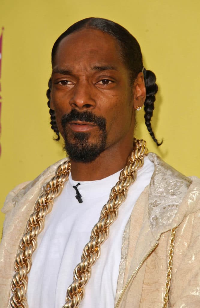 Snoop Dogg Murder Case